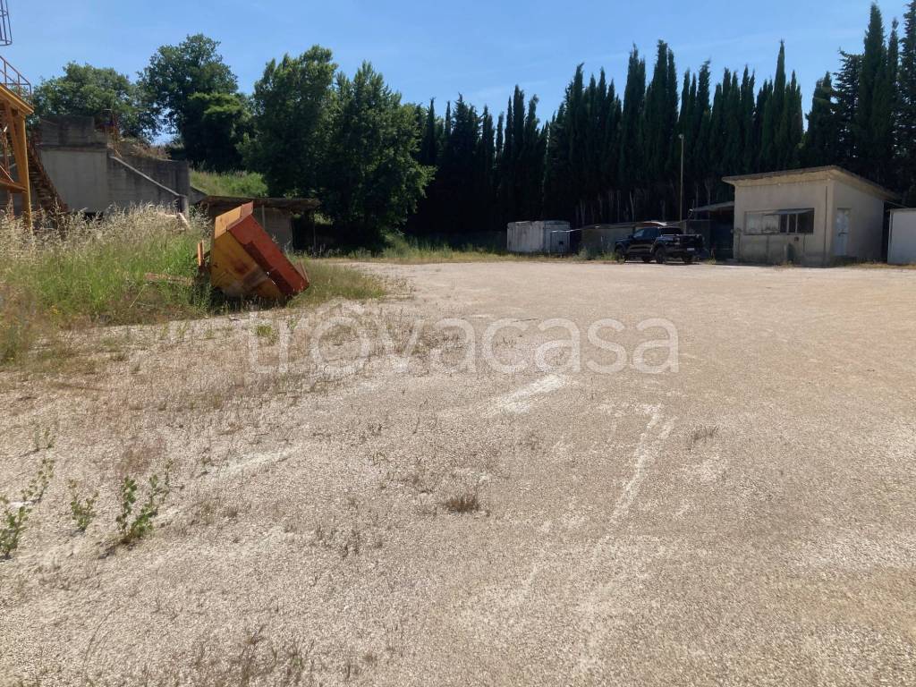 immagine annuncio 4 di 9