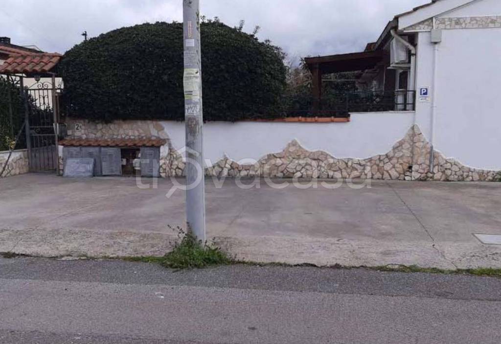 immagine annuncio 12 di 13