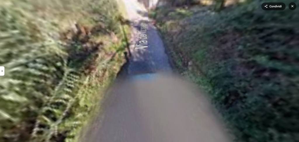 immagine annuncio 6 di 8