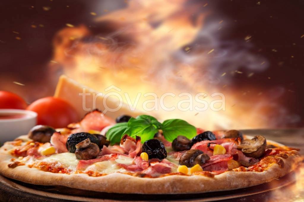 immagine annuncio 3 di 12