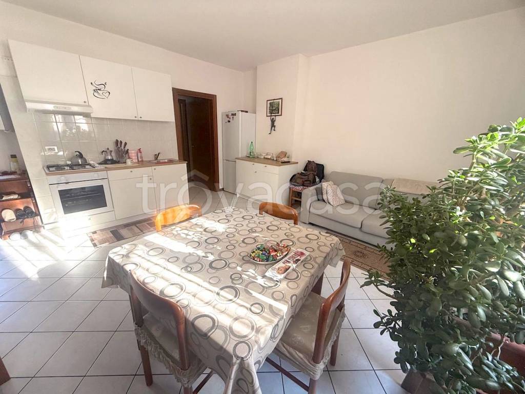 immagine annuncio 3 di 8