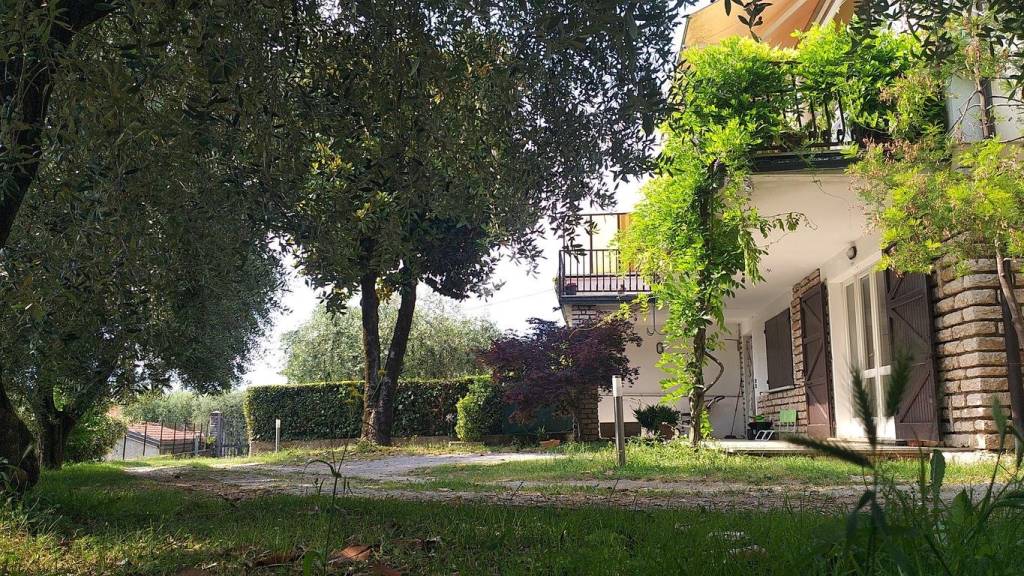 immagine annuncio 2 di 12
