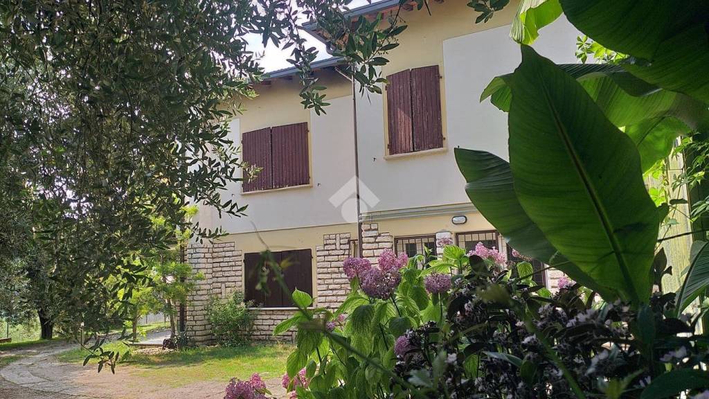 immagine annuncio 3 di 12