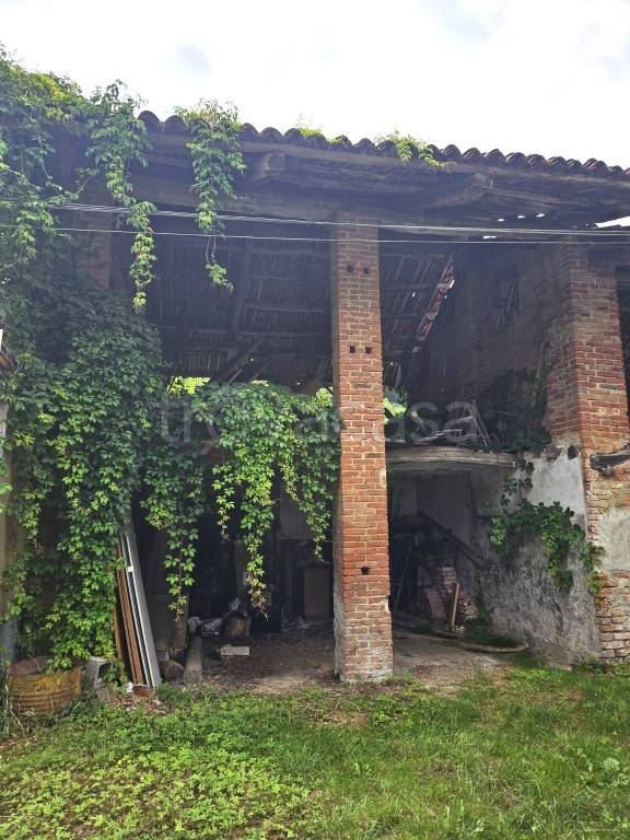 immagine annuncio 11 di 12