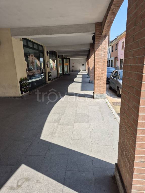 immagine annuncio 4 di 8