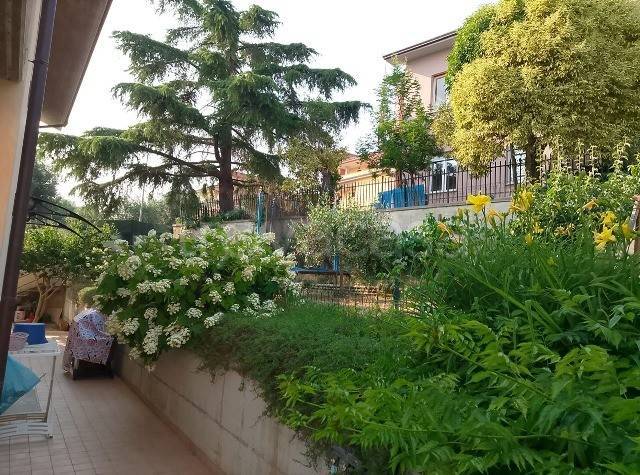 immagine annuncio 9 di 14