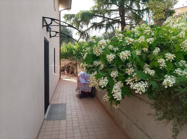 immagine annuncio 10 di 14