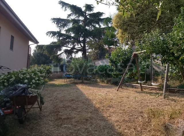 immagine annuncio 12 di 14