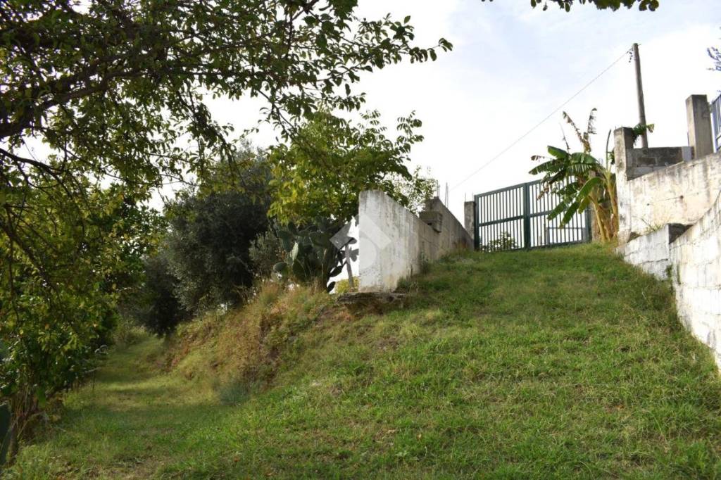 immagine annuncio 6 di 14