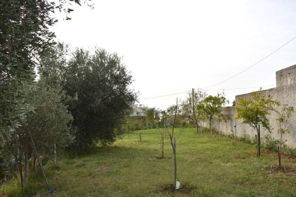 immagine annuncio 7 di 14