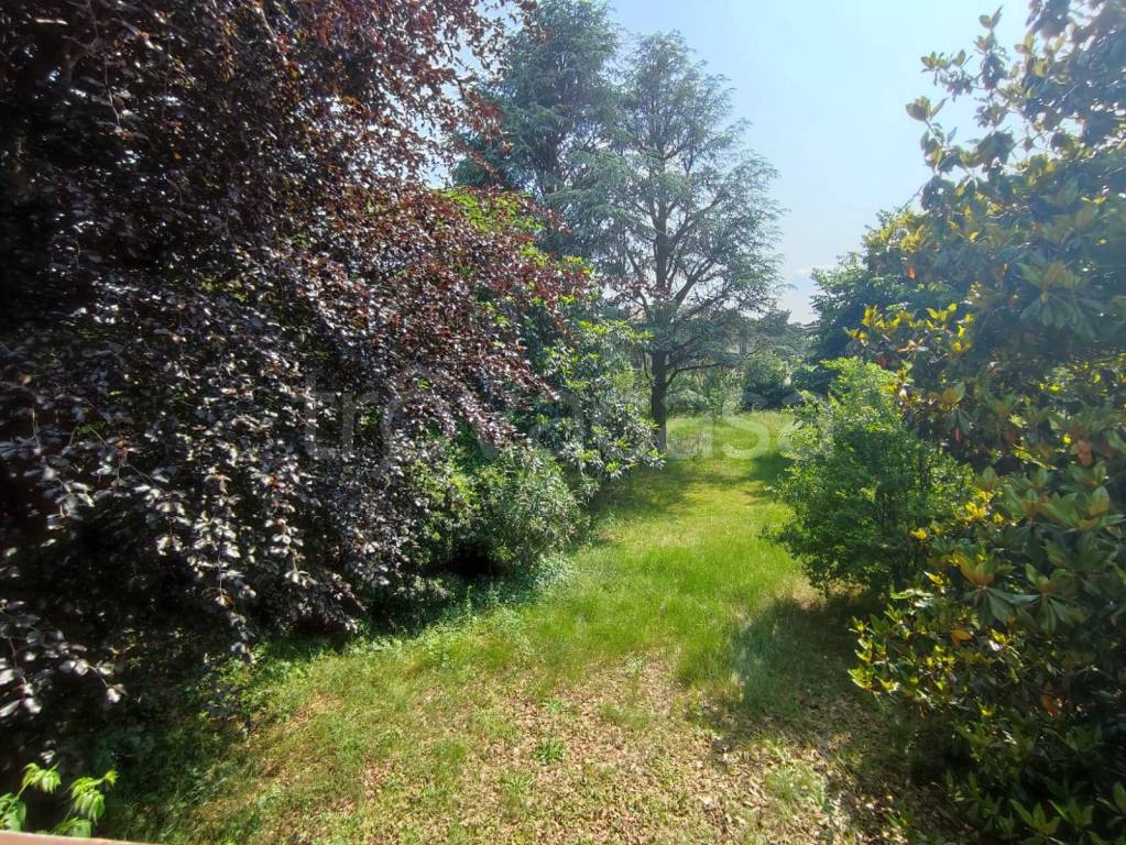 immagine annuncio 7 di 8