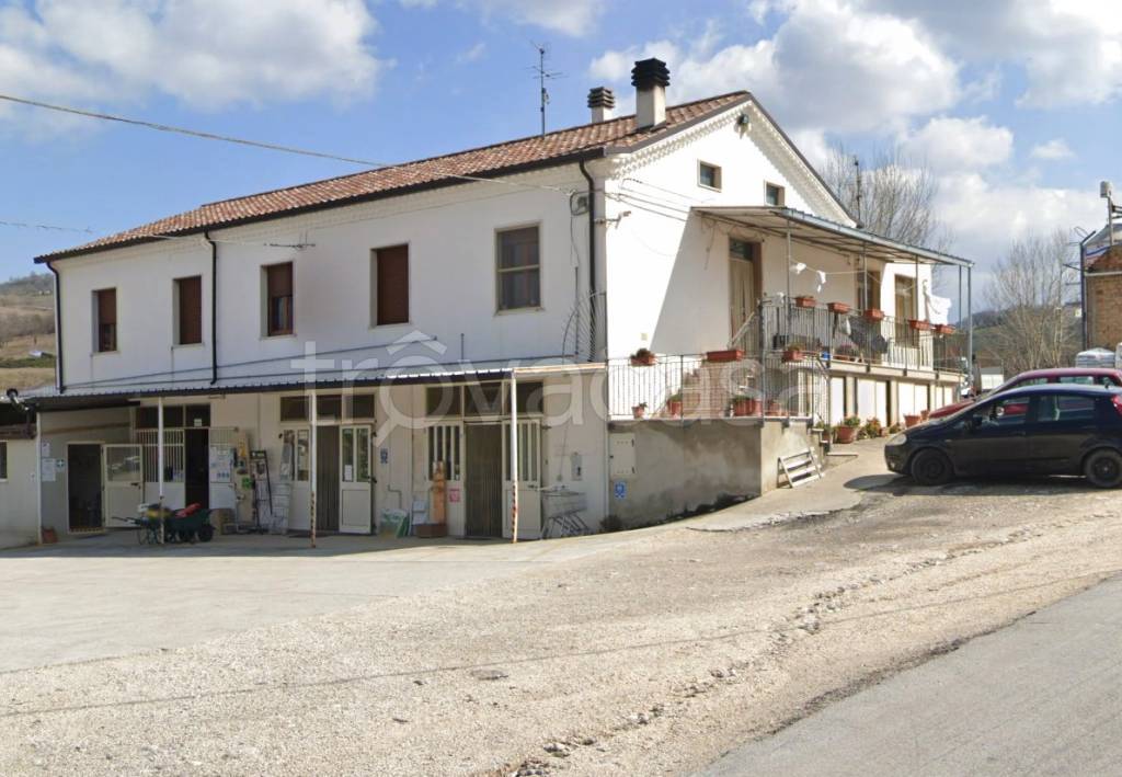 immagine annuncio 6 di 11