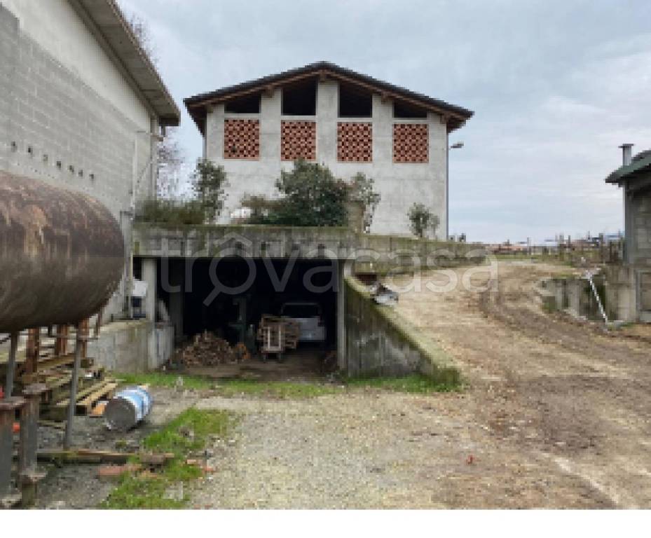 immagine annuncio 3 di 11