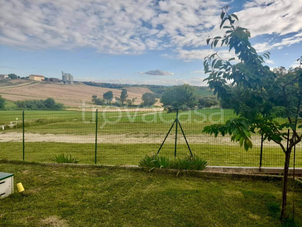 immagine annuncio 1 di 14