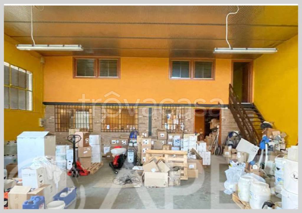 immagine annuncio 10 di 15