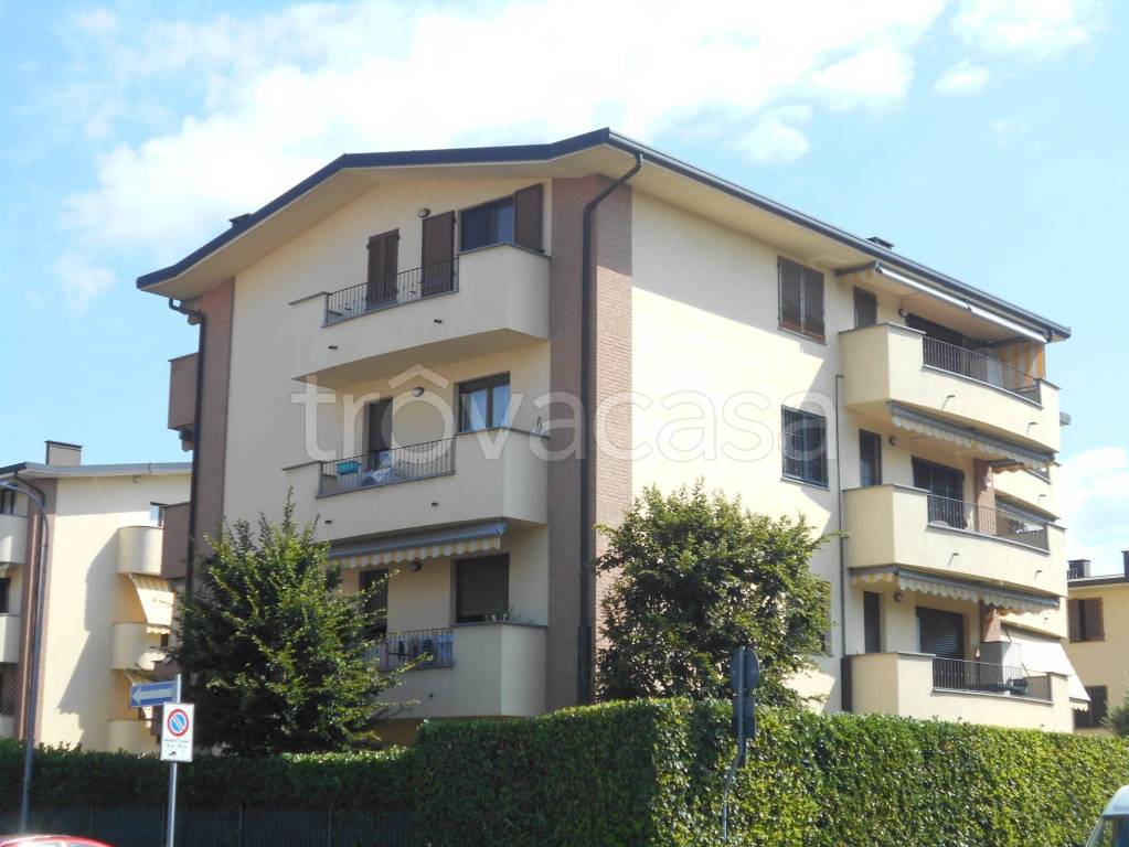 immagine annuncio 11 di 12