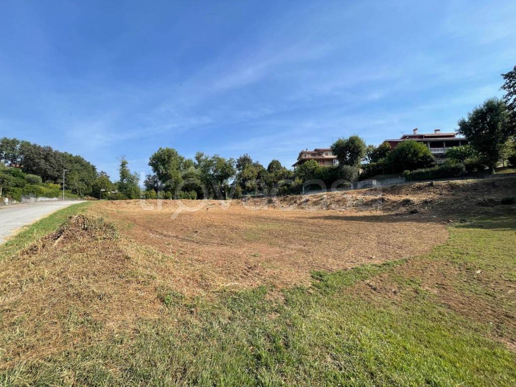 immagine annuncio 2 di 4