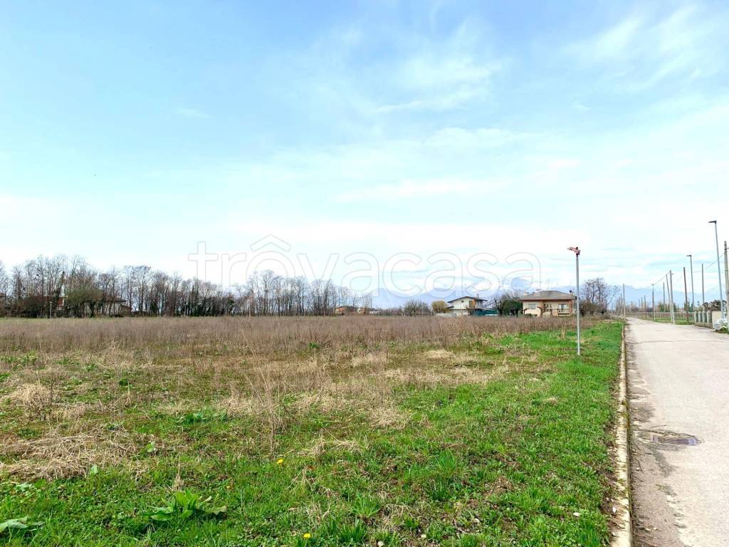 immagine annuncio 3 di 8