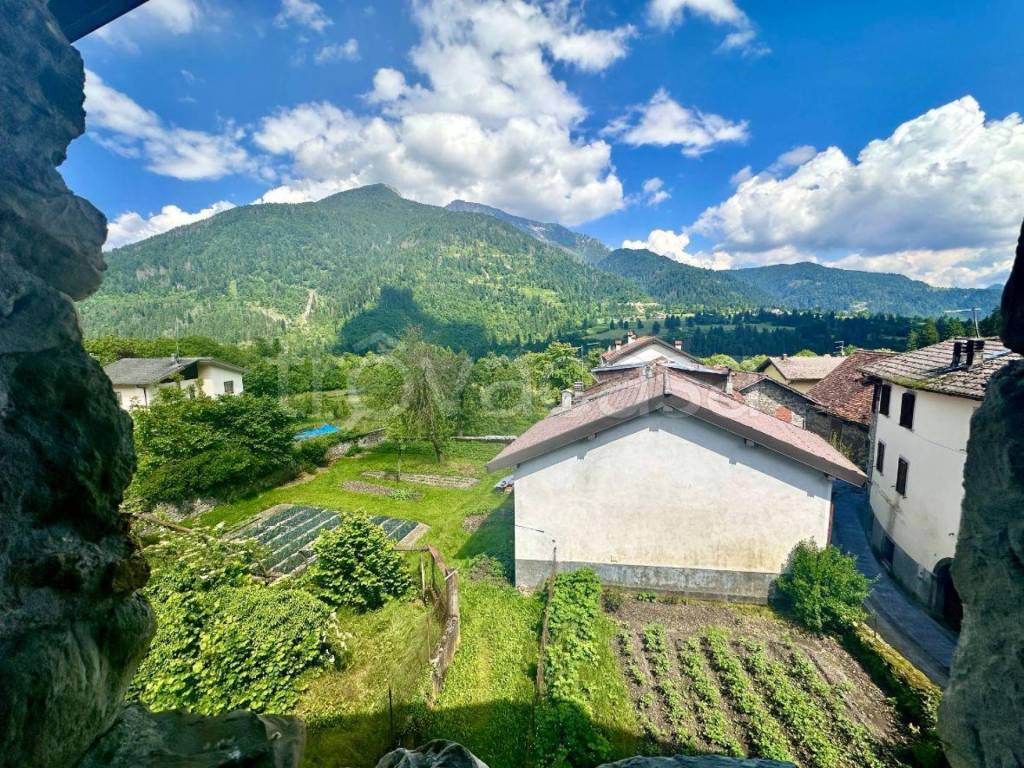 immagine annuncio 4 di 14