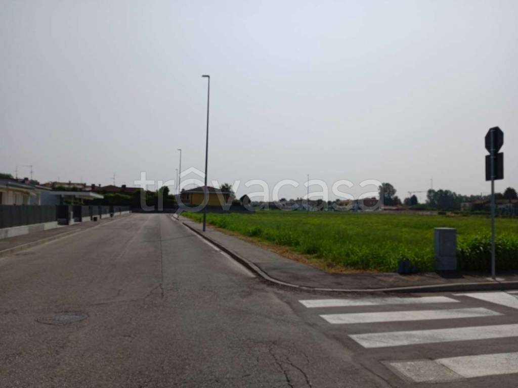 immagine annuncio 1 di 14