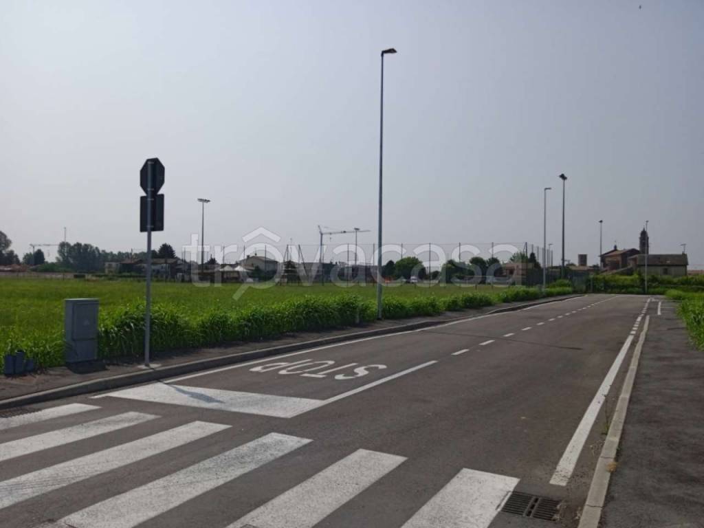 immagine annuncio 3 di 14
