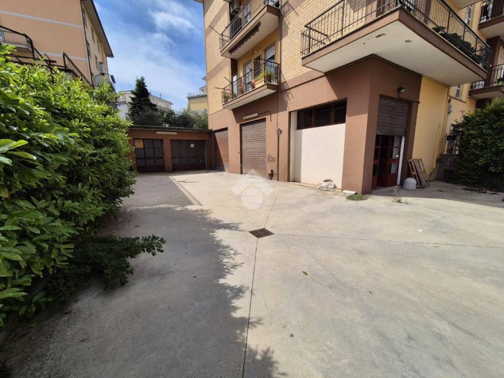 immagine annuncio 1 di 12