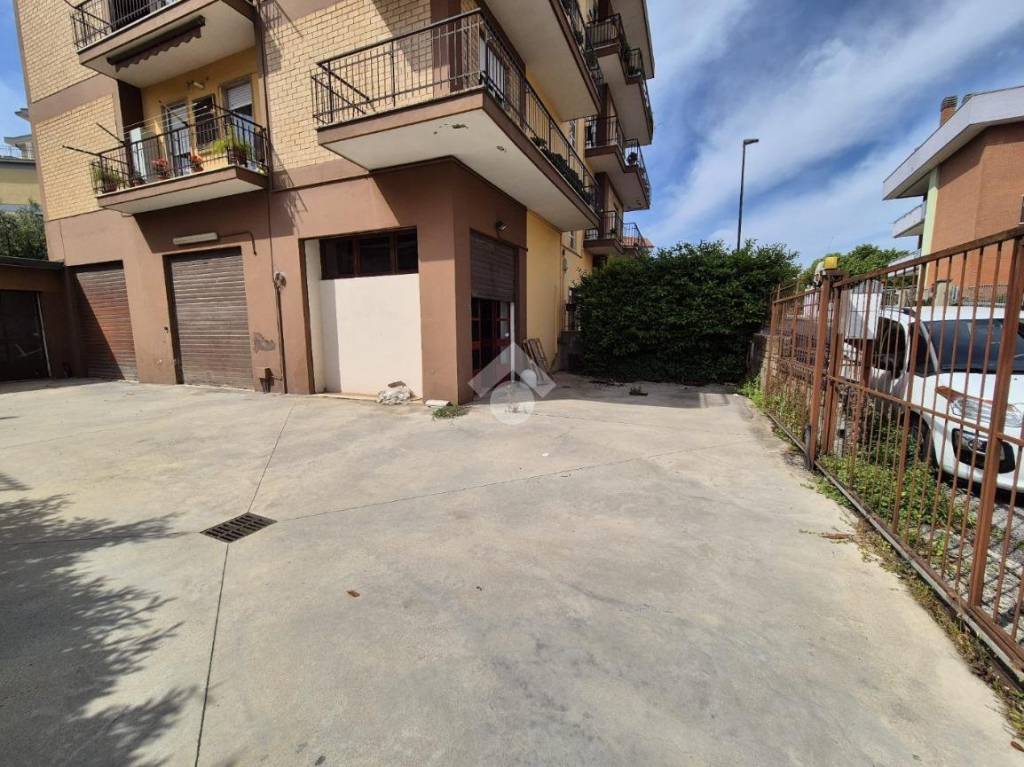 immagine annuncio 5 di 12