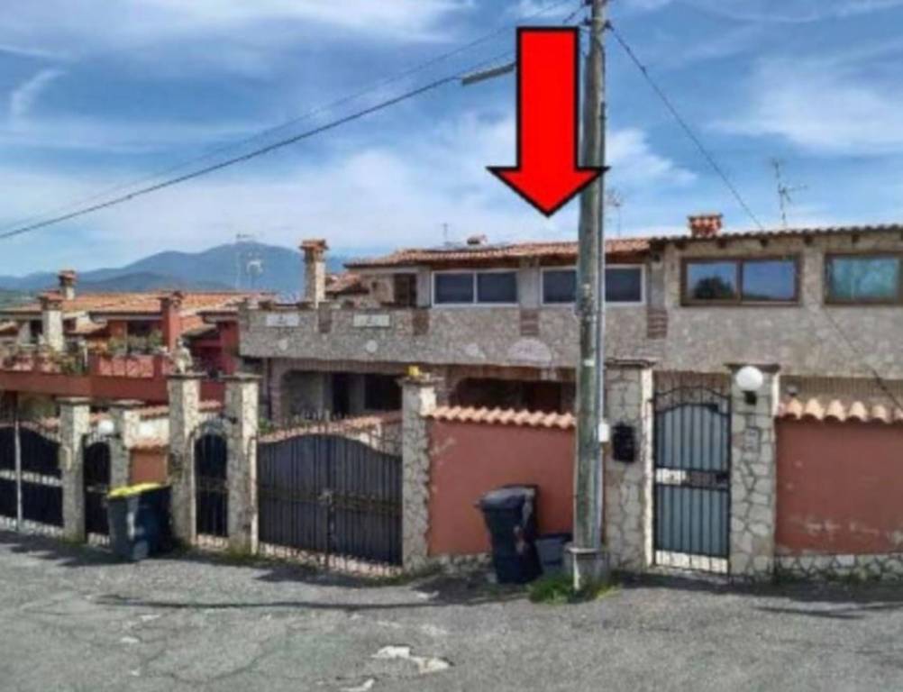 immagine annuncio 1 di 14
