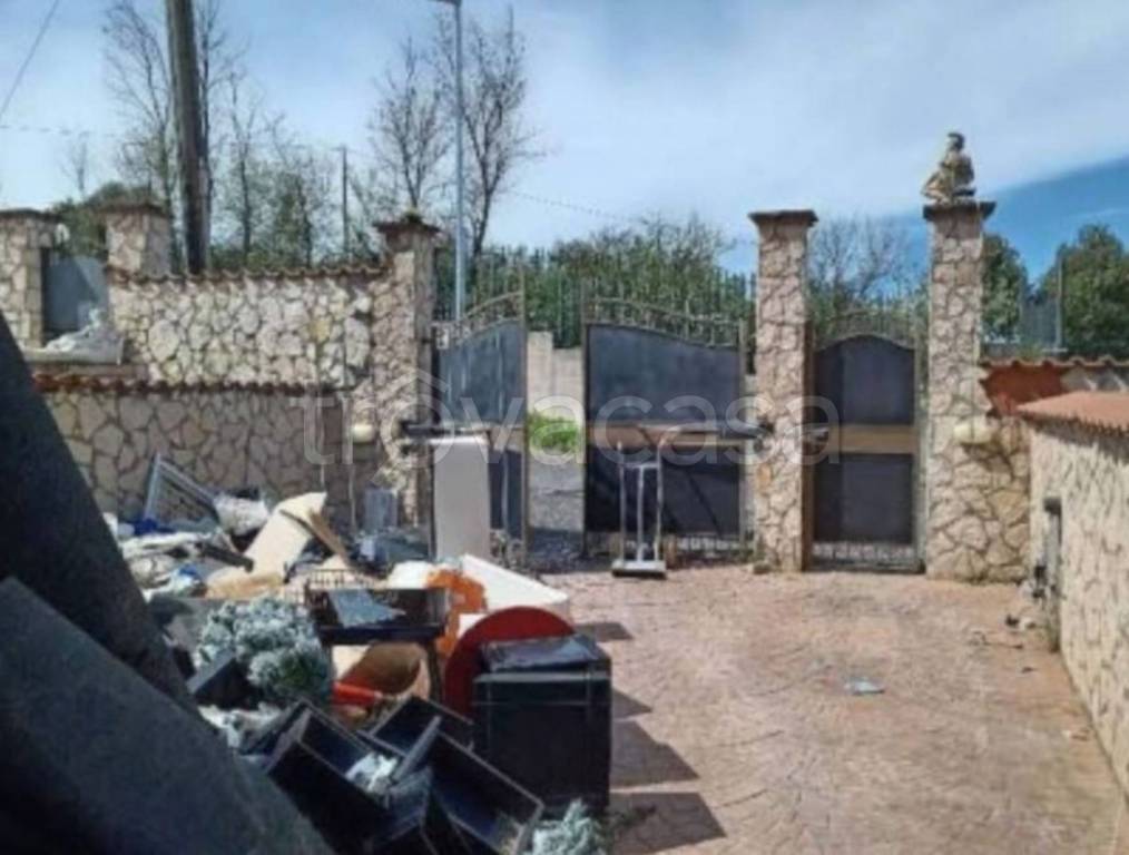 immagine annuncio 4 di 14