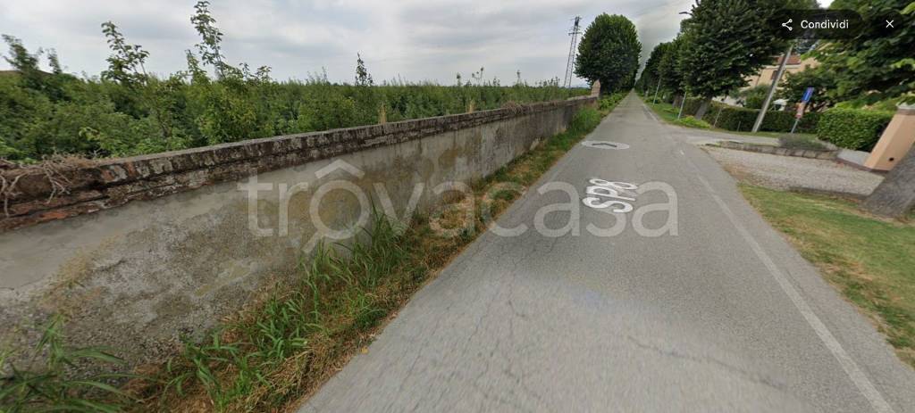 immagine annuncio 10 di 12
