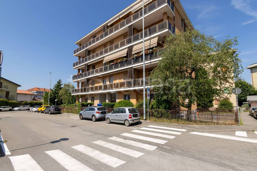 immagine annuncio 5 di 15