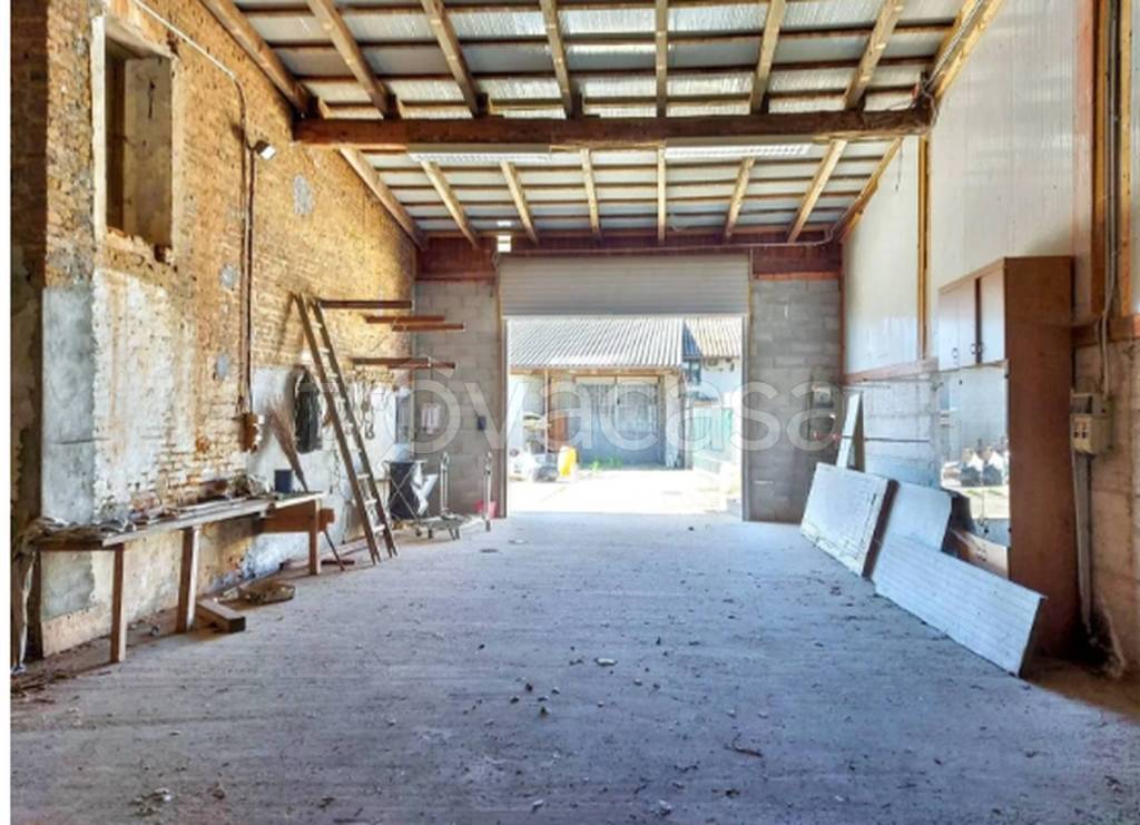 immagine annuncio 2 di 14