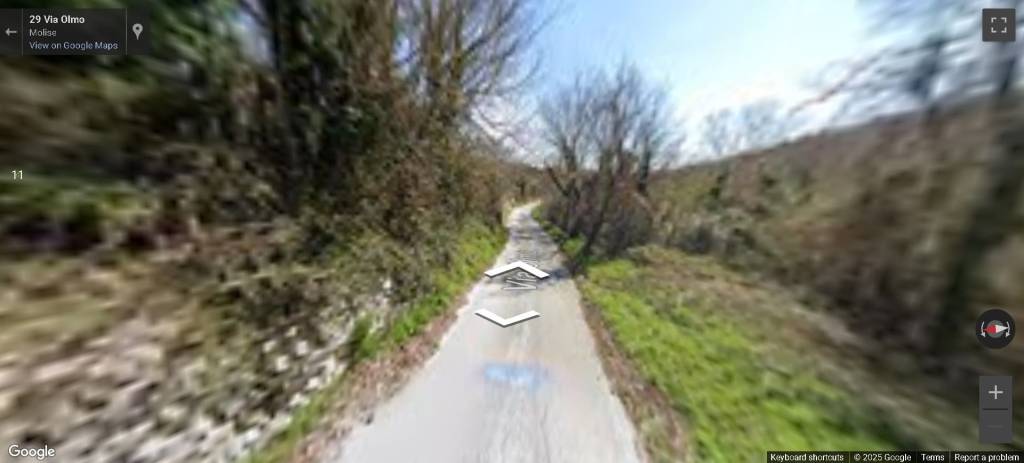 immagine annuncio 2 di 13