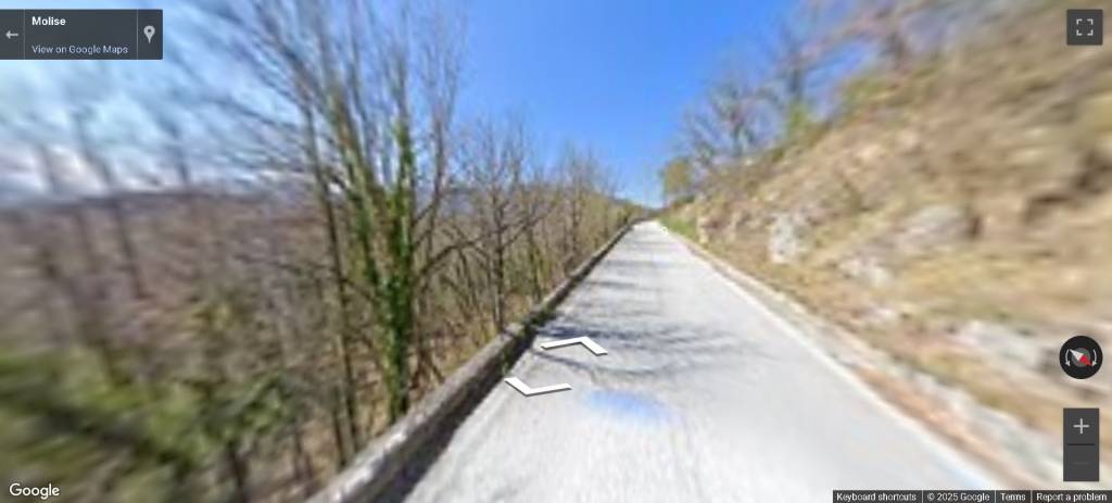 immagine annuncio 11 di 13