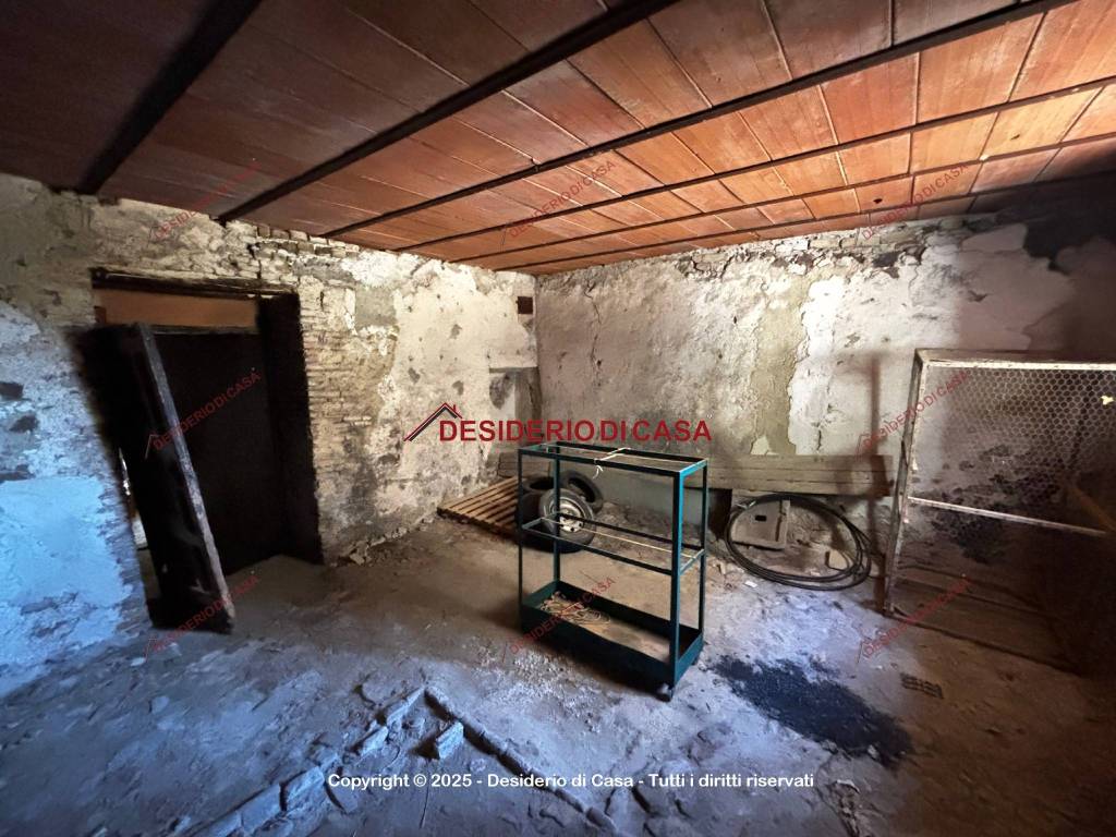 immagine annuncio 11 di 14
