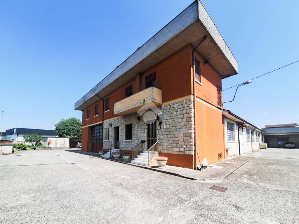 immagine annuncio 12 di 15