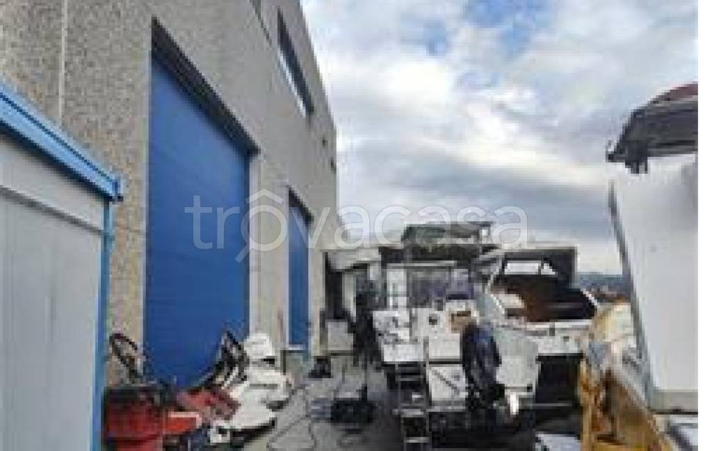 immagine annuncio 3 di 11