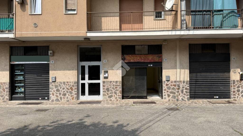 immagine annuncio 1 di 14