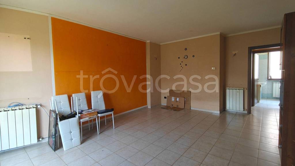 immagine annuncio 3 di 13