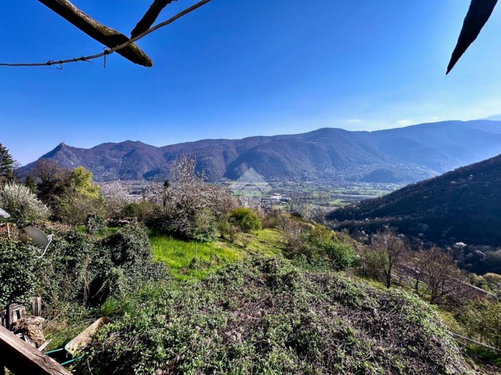 immagine annuncio 6 di 8