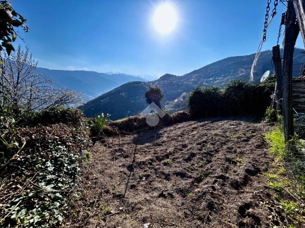 immagine annuncio 7 di 8