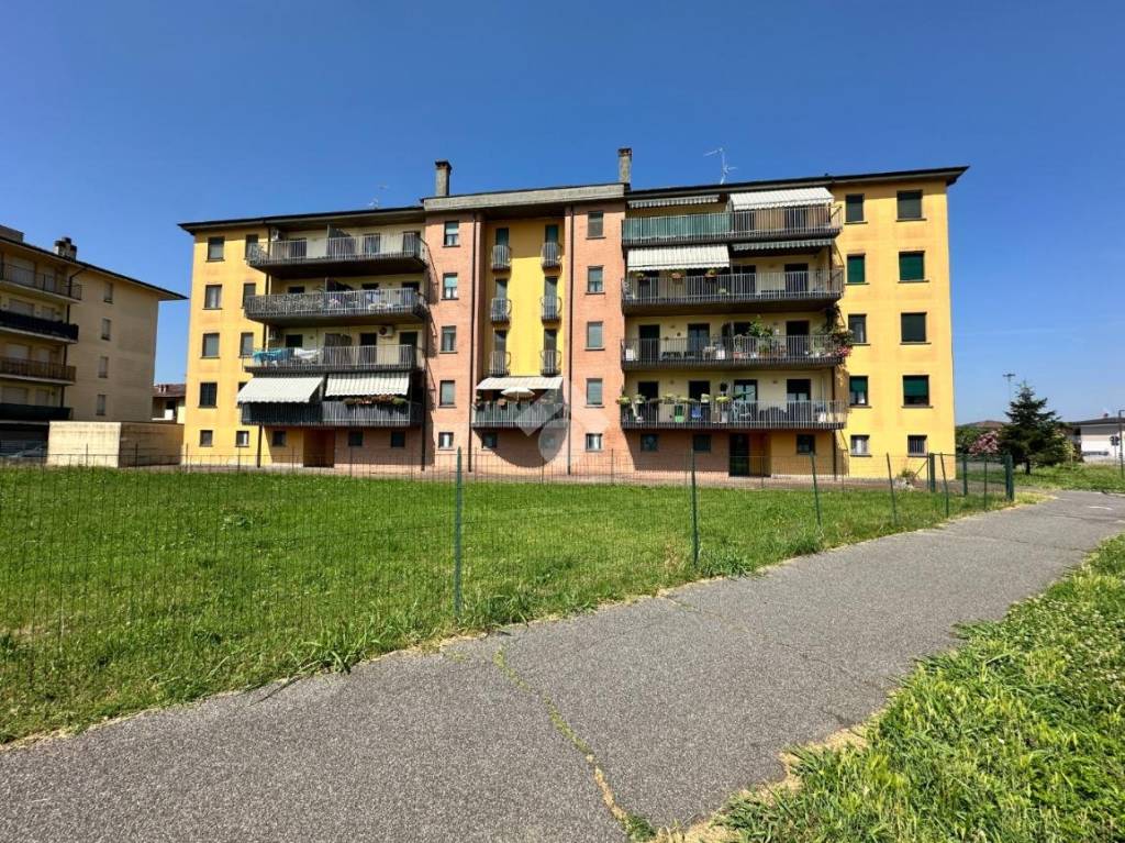 immagine annuncio 3 di 15