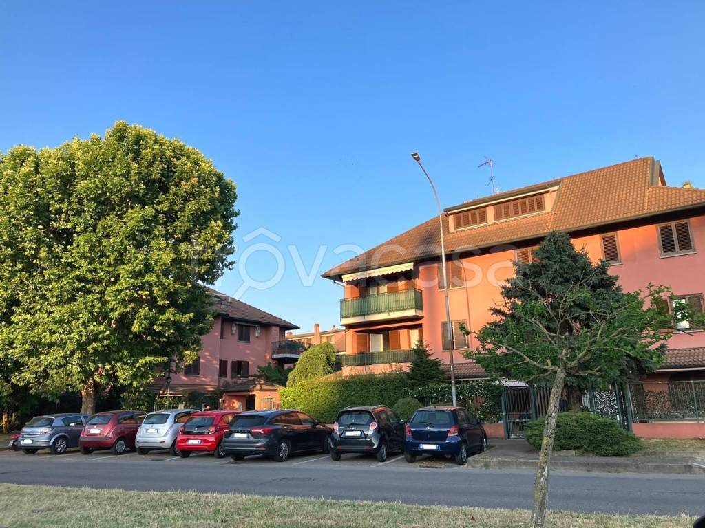 immagine annuncio 5 di 15