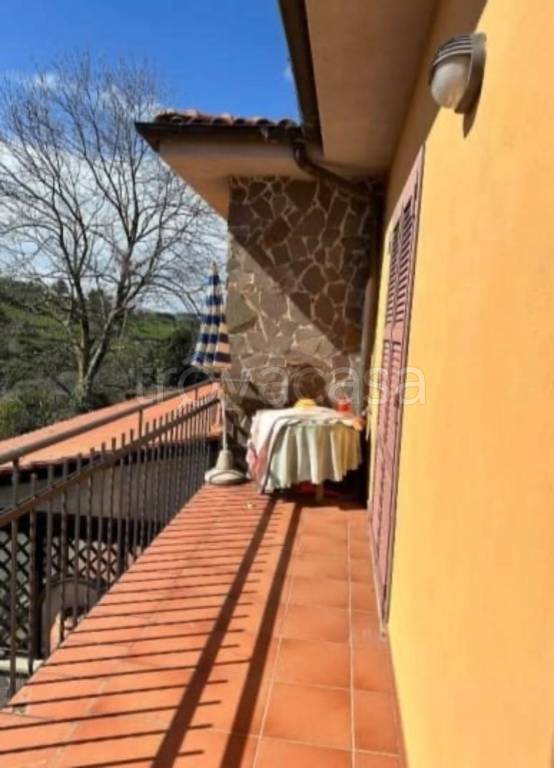 immagine annuncio 12 di 14