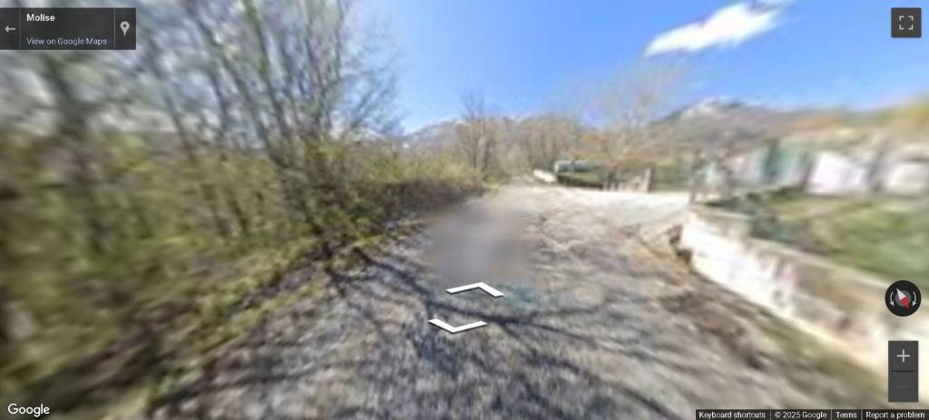 immagine annuncio 3 di 11
