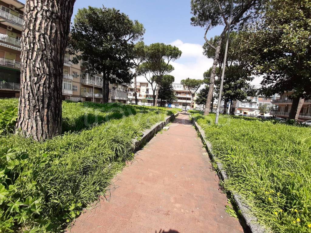 immagine annuncio 1 di 12