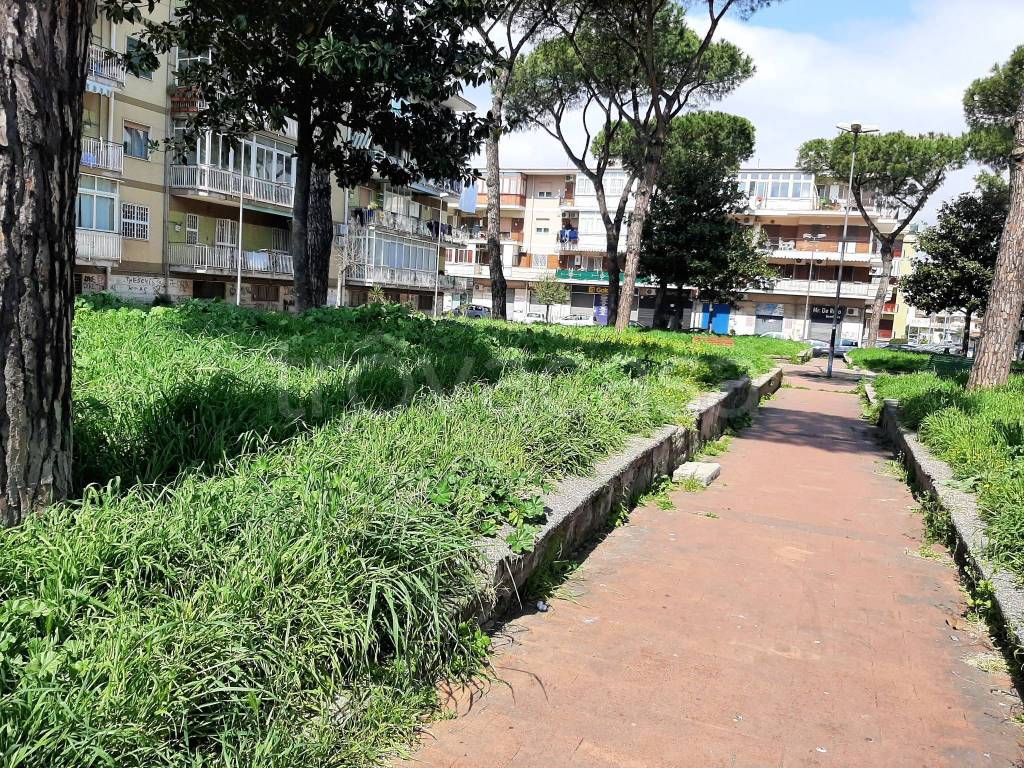 immagine annuncio 2 di 12