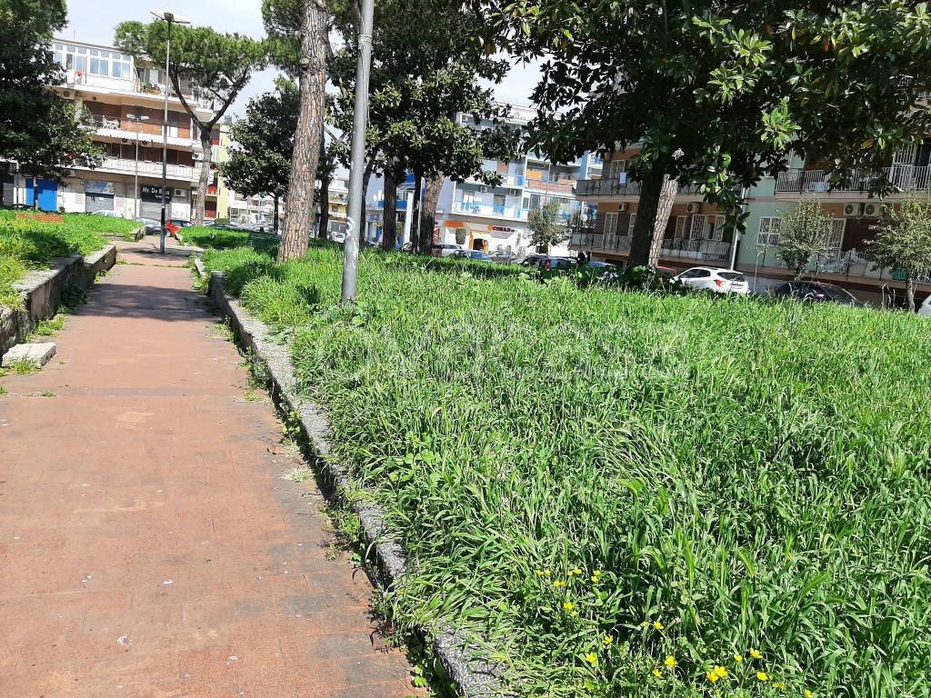 immagine annuncio 3 di 12