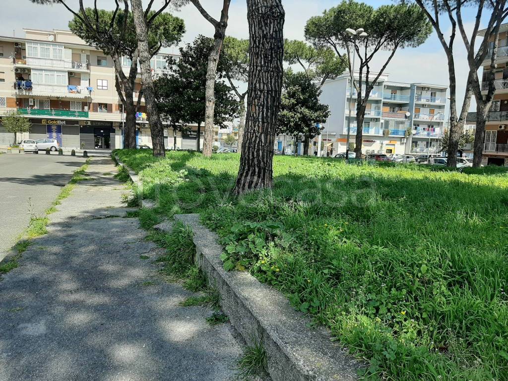 immagine annuncio 4 di 12