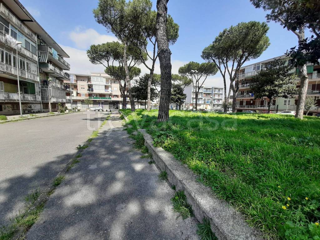 immagine annuncio 5 di 12